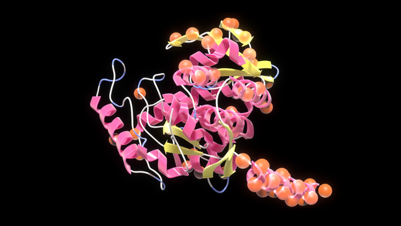 NVIDIA, Evozyne Create Generative AI Model for Proteins