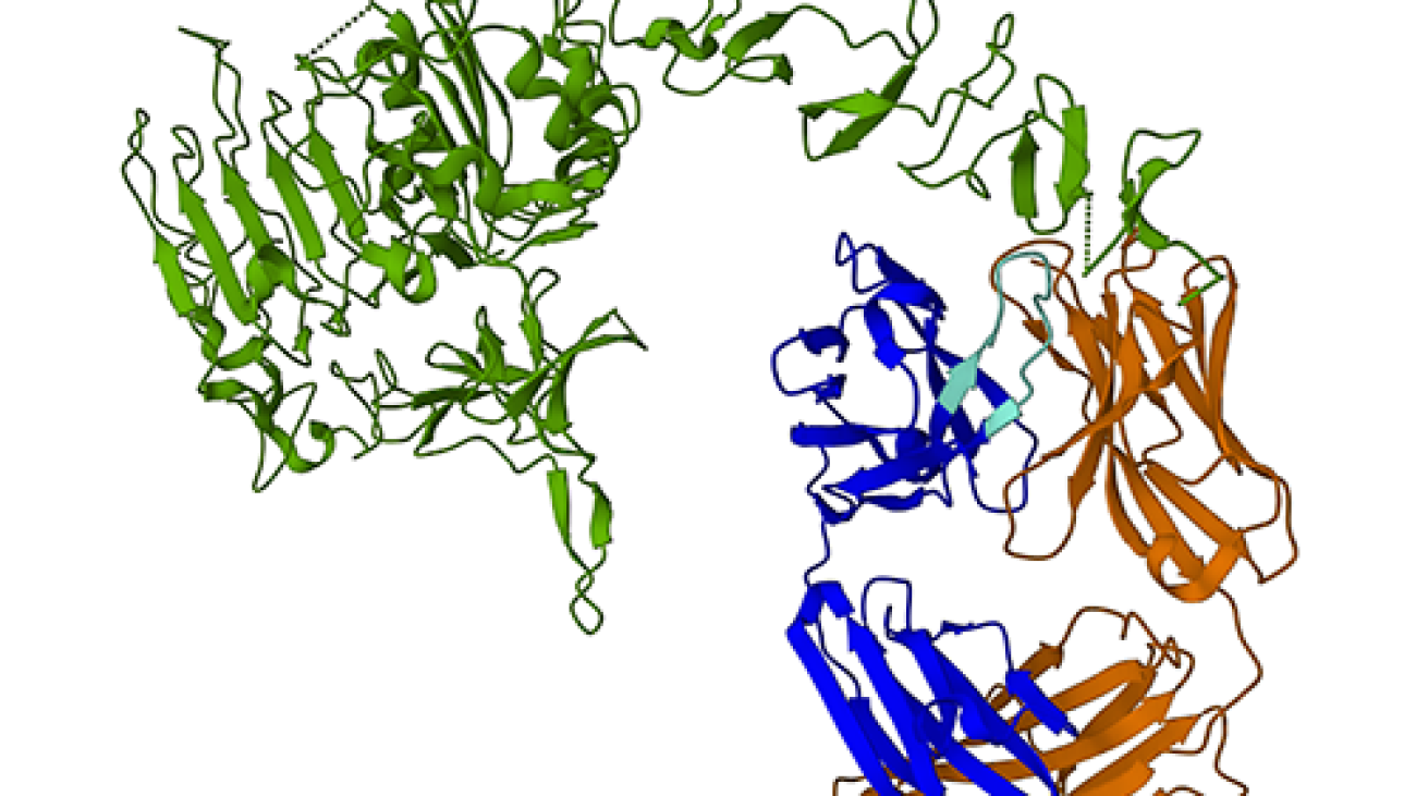 Accelerate protein structure prediction with the ESMFold language model on Amazon SageMaker