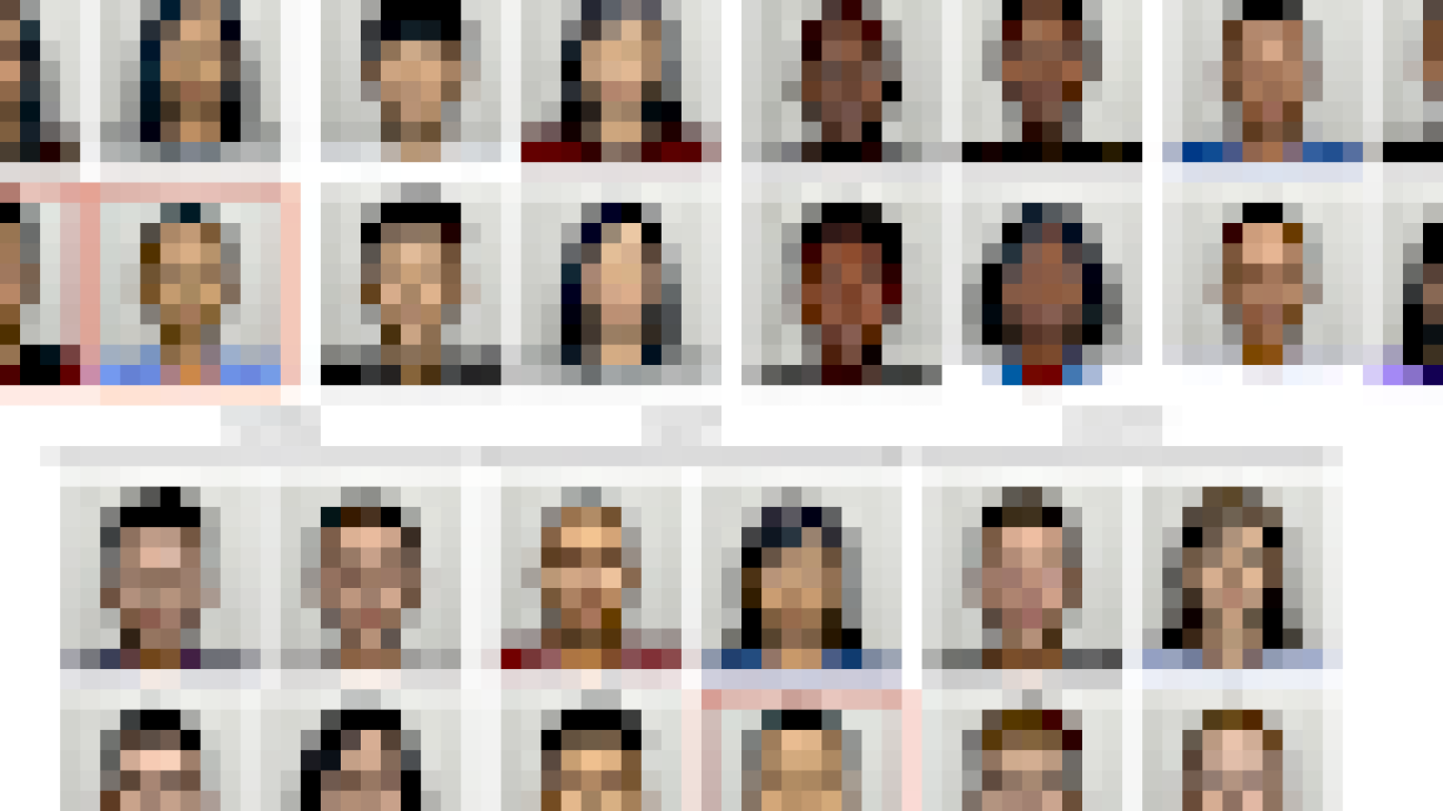 VALID: A perceptually validated virtual avatar library for inclusion and diversity