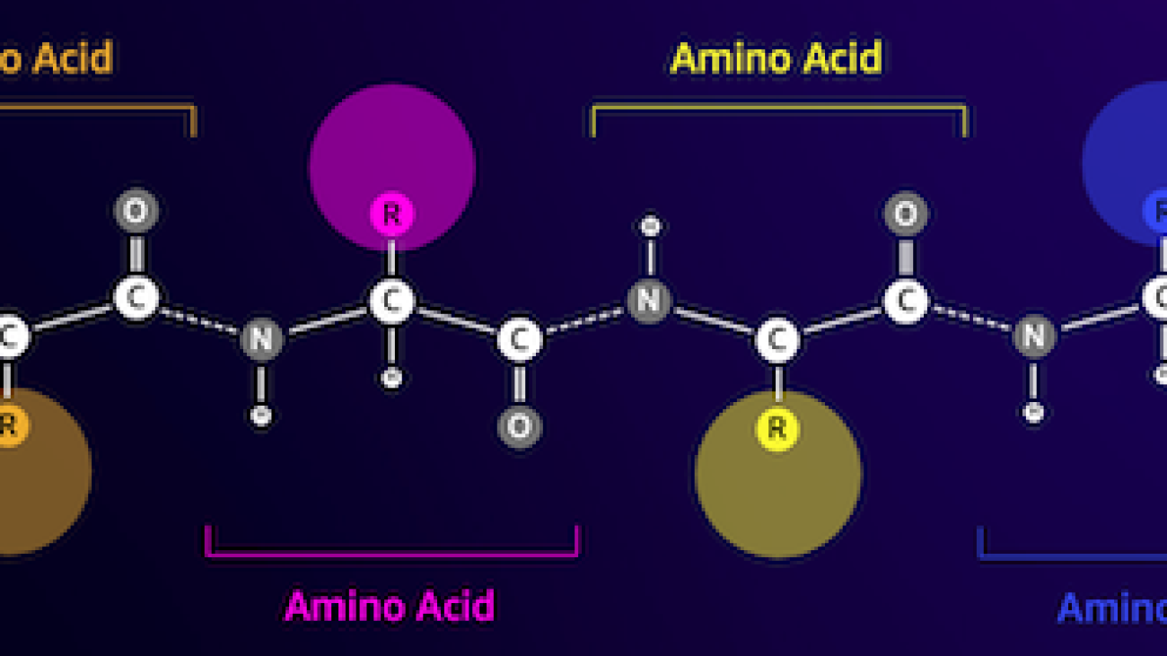 Efficiently fine-tune the ESM-2 protein language model with Amazon SageMaker