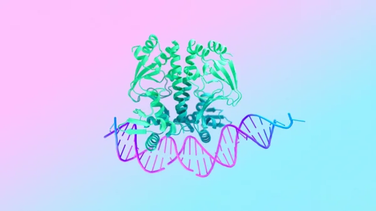 AlphaFold 3 predicts the structure and interactions of all of life’s molecules