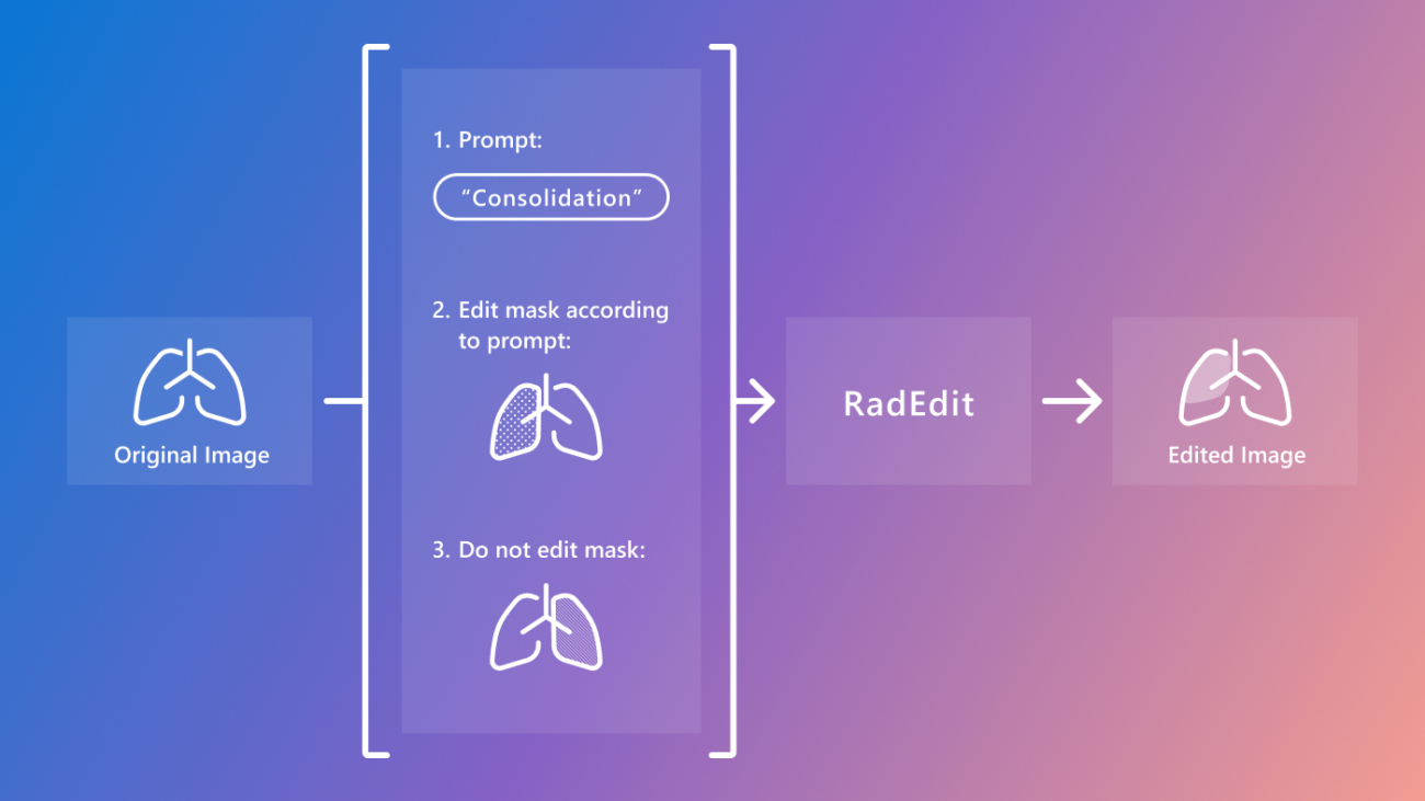 Stress-testing biomedical vision models with RadEdit: A synthetic data approach for robust model deployment