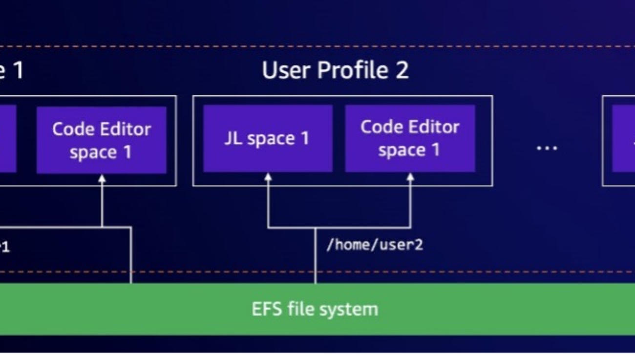 Use Amazon SageMaker Studio with a custom file system in Amazon EFS