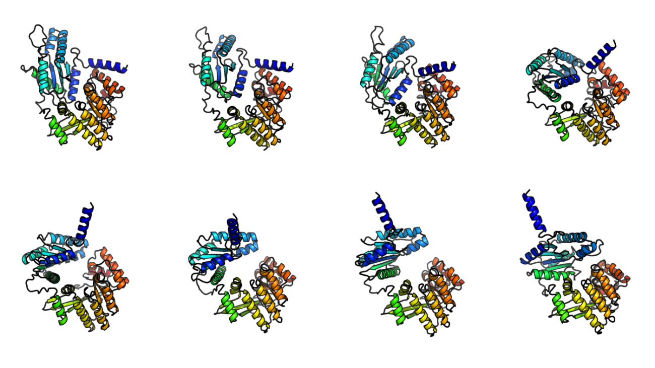 Exploring the structural changes driving protein function with BioEmu-1